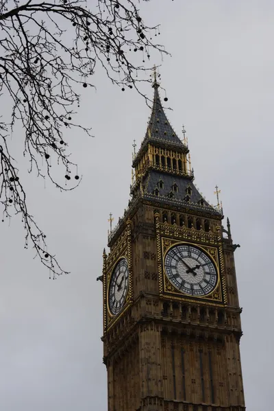 DSC_5916 (Large).JPG